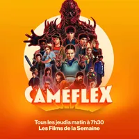 Caméflex artwork