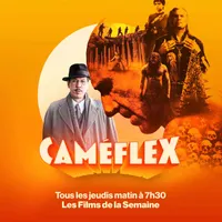 Caméflex artwork