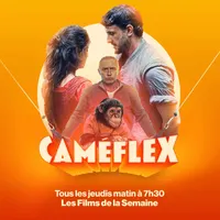 Caméflex artwork