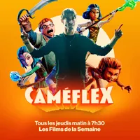 Caméflex artwork