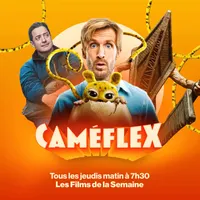 Caméflex artwork