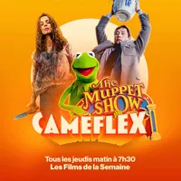 Caméflex artwork