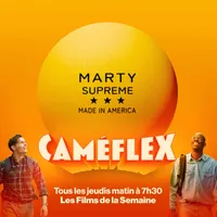 Caméflex artwork