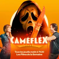 Caméflex artwork