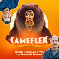 Caméflex artwork