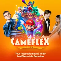Caméflex artwork