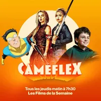 Caméflex artwork