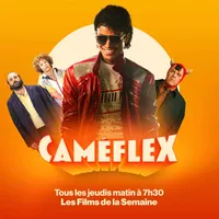 Caméflex artwork