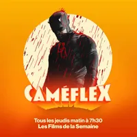 Caméflex artwork