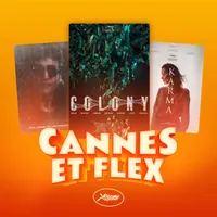 Caméflex artwork