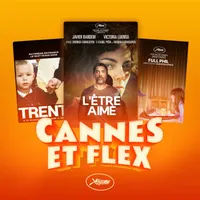 Caméflex artwork