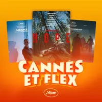 Caméflex artwork