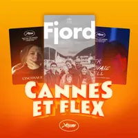 Caméflex artwork