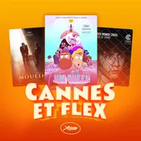 Caméflex artwork
