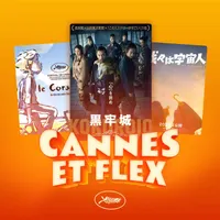 Caméflex artwork