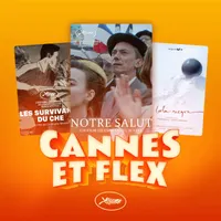 Caméflex artwork