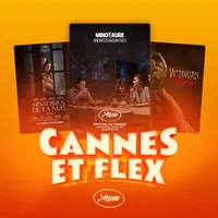 Caméflex artwork