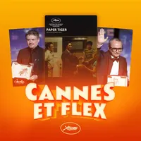 Caméflex artwork