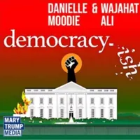 democracy-ish artwork