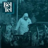 The BelTel artwork