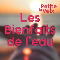 La Petite Voix artwork
