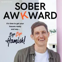 Sober Awkward artwork