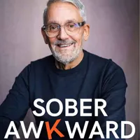Sober Awkward artwork