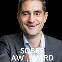 Sober Awkward artwork