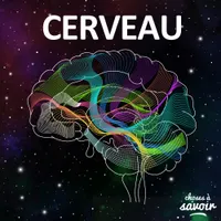 Choses à Savoir CERVEAU artwork