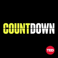 The TED Interview artwork
