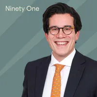 The Investment Perspective, with Ninety One artwork