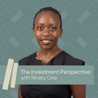 The Investment Perspective, with Ninety One artwork