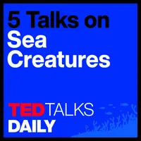 TED Talks Daily artwork