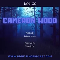 The Night's End Podcast artwork