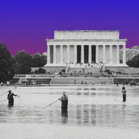 What Next | Daily News and Analysis artwork