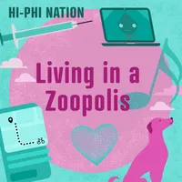 Hi-Phi Nation artwork