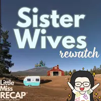 Little Miss Recap: Reality TV Through a Gen X Lens artwork