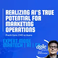 The Agile Brand with Greg Kihlström®: Expert Mode Marketing Technology, AI, & CX artwork