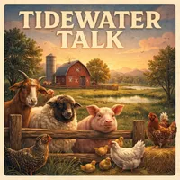 Tidewater Talk artwork