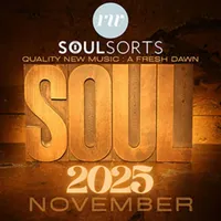 Soulsorts artwork