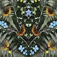 Classical Music Discoveries artwork