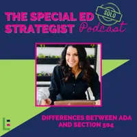 Special Education Strategist: Expert Advice for IEPs, 504 Plans, Dyslexia, Parent Advocacy, Learning Disabilities, Executive Function, Dysgraphia, ADHD, Autism, Neurodivergent artwork