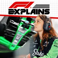 F1 Explains artwork