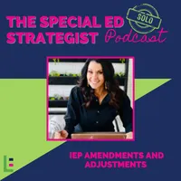 Special Education Strategist: Expert Advice for IEPs, 504 Plans, Dyslexia, Parent Advocacy, Learning Disabilities, Executive Function, Dysgraphia, ADHD, Autism, Neurodivergent artwork