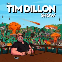 The Tim Dillon Show artwork