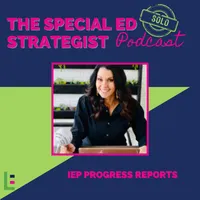 Special Education Strategist: Expert Advice for IEPs, 504 Plans, Dyslexia, Parent Advocacy, Learning Disabilities, Executive Function, Dysgraphia, ADHD, Autism, Neurodivergent artwork
