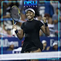 Dish Nation artwork