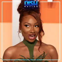 Dish Nation artwork