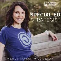Special Education Strategist: Expert Advice for IEPs, 504 Plans, Dyslexia, Parent Advocacy, Learning Disabilities, Executive Function, Dysgraphia, ADHD, Autism, Neurodivergent artwork