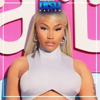 Dish Nation artwork